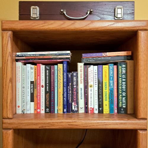 A close-up shot of the other upper area of Anamely's bookshelves. There are books stacked on top of more books, and a case on top of the shelf.