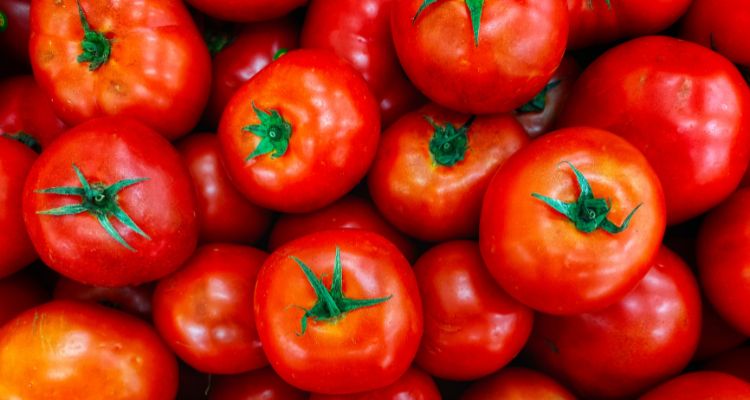 a pile of ripe tomatoes