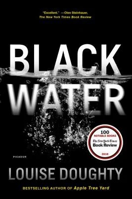 'Black Water' book cover with the 'Black' on top of the water and 'Water' sitting under water