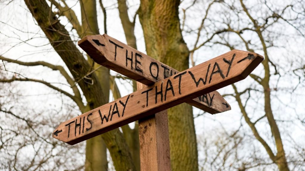 A wooden sign with perpendicular directions points to This Way, That Way, and The Other Way. Behind are bare trees and a gray sky.