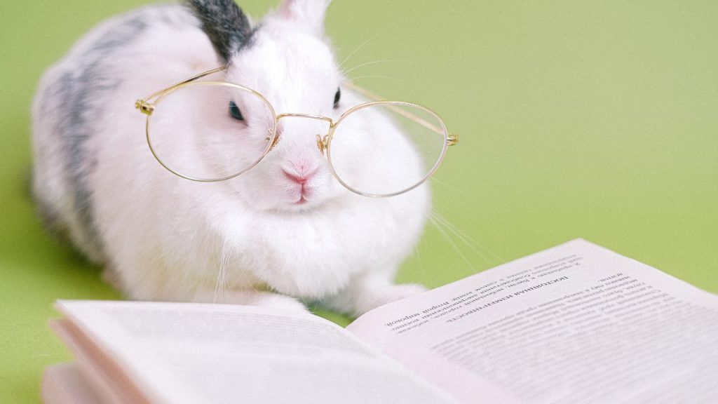 A white and gray rabbit wears round gold glasses in front of an open book and a pale green background.
