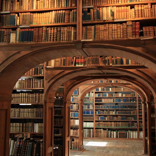 Library with antique books. The frame is shot through multiple arches through a hallway.