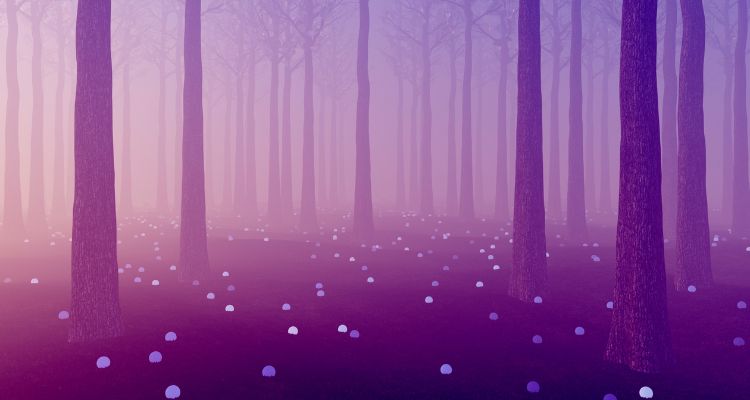 A purple-tinted forestscape with glowing orbs scattered over the ground.