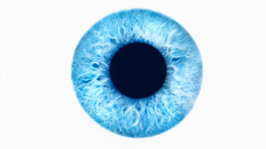 A picture of a blue eye.