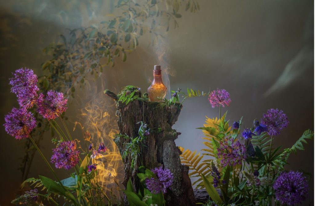 A small orange vial with a cork sits on a tree stump. The stump is covered in moss and other plants. Around the stump are a variety of purple and pink flowers, and smoke curls into the air.