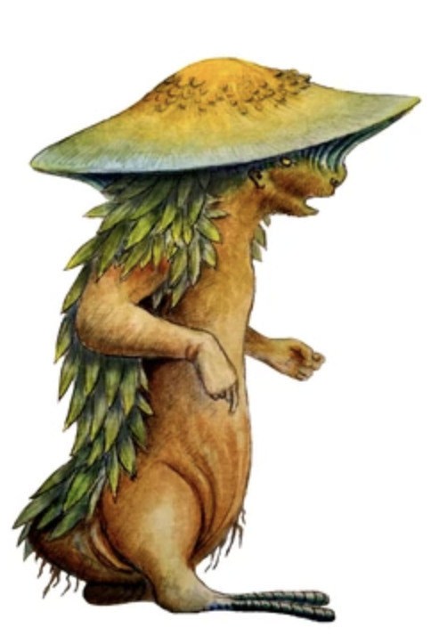 A creature with a brown leathery front side has green scales resembling leaves on its back and a mushroom-like hat.