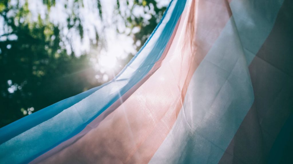 Transgender flag waving with trees blurred in the background.