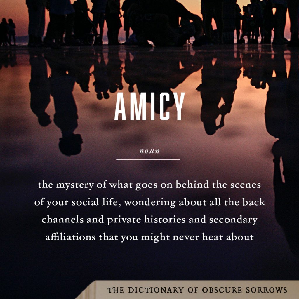 The black silhouetted reflection of many people standing beside water at sunset. In white lettering on top, it reads: amicy, noun, the mystery of what goes on behind the scenes of your social life, wondering about all the back channels and private histories and secondary affiliations that you might never hear about. In the bottom right corner, a light brown banner with The Dictionary of Obscure Sorrows in black lettering.