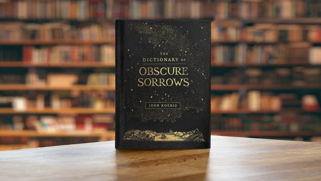 A wooden table top. On top is a copy of The Dictionary of Obscure Sorrows. Behind are blurred bookshelves.