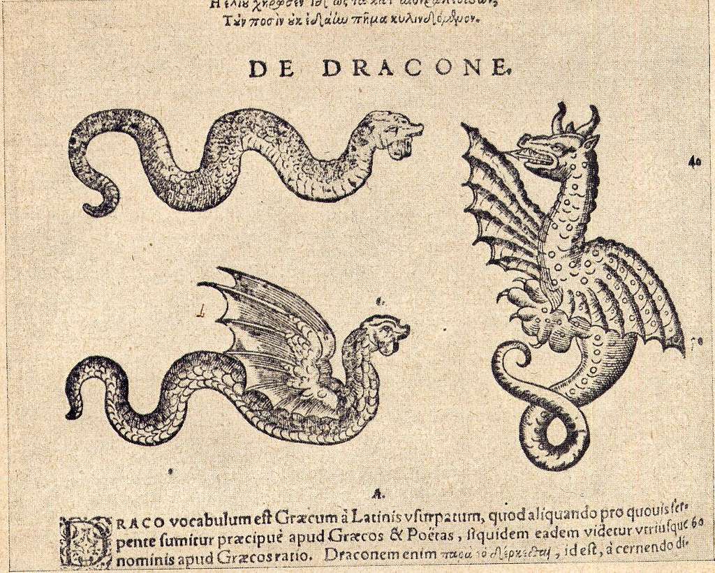 16th-century illustration of dragons from Conrad Gessner's Historiae Animalium, depicting three variations: a serpent-like dragon, a winged snake, and a winged, fire-breathing dragon.