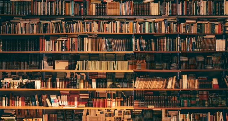 Seven rows of books cover the image with the shelves behind them being seem through the empty cracks.