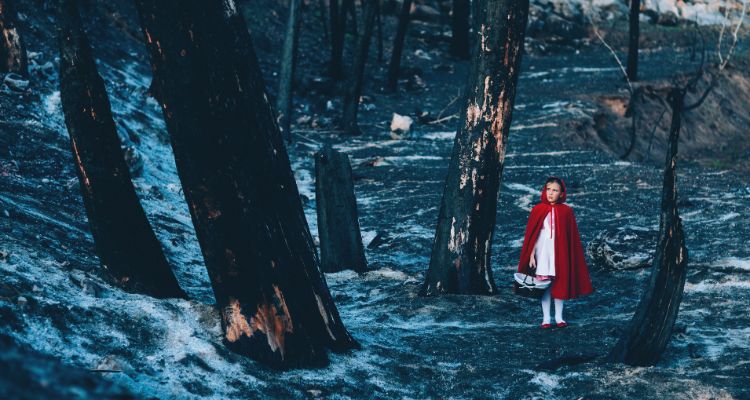 A light-skinned child with black hair wearing a red cloak and holding a basket stands, looking unsure, on a path in a snowy, burned-out forest.