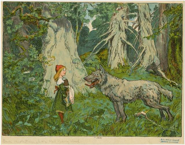 Woodcut illustration of a light-skinned child with long blond hair wearing a red cap facing off in a forest against a large, gray wolf.