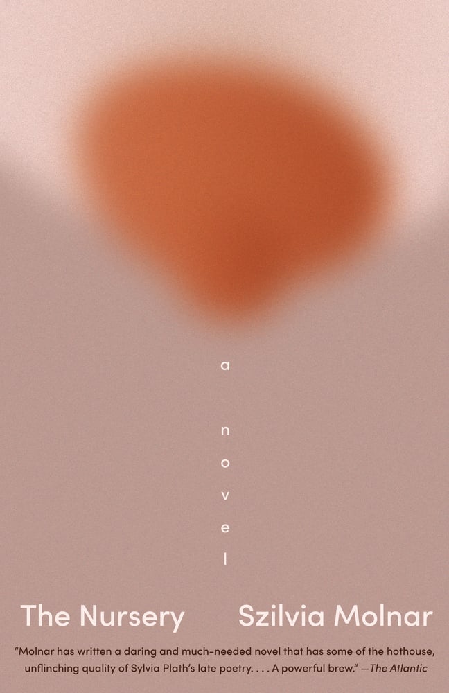 The Nursery by Szilvia Molnar book cover. It is primarily gray with a pale breast and orange nipple centered on the top. The image is heavily blurred, and centered in a vertical line are the words "a novel."
