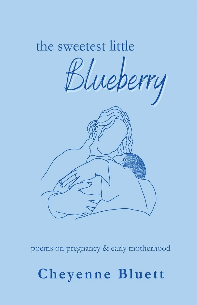 The book cover for The Sweetest Little Blueberry. A light blue background. A dark blue outline of a woman holding a baby. The Sweetest Little Blueberry: Poems on Pregnancy & Early Motherhood is in dark blue lettering.