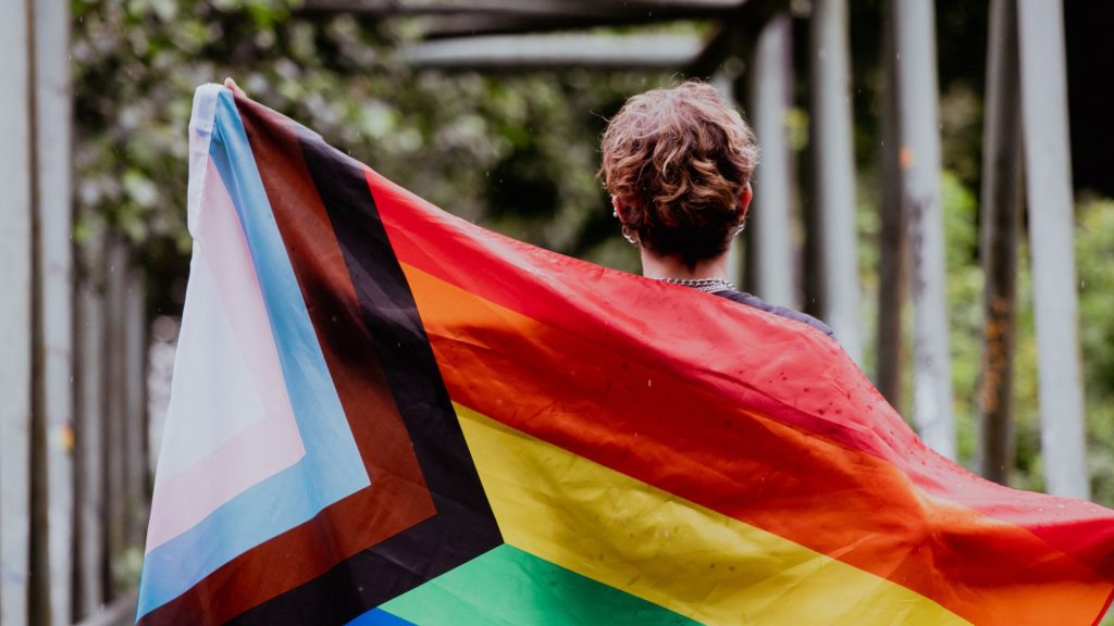 A light-skinned person with short brown hair holding a pride flag, viewed from behind, as they walk across a bridge surrounded by trees. The flag includes a right-facing triangle with the trans pride colors (white, light pink, and light blue), brown, and black. Next to the triangle are the rainbow stripes: red, orange, yellow, green, and blue.