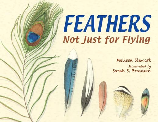 Feathers: Not Just for Flying by Melissa Stewart book cover. Six different bird feathers of various sizes arranged from largest to smallest.
