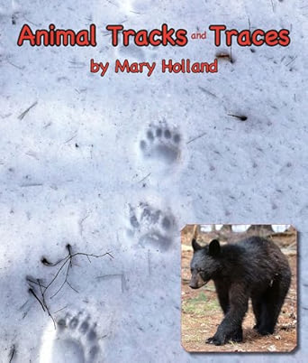 Animal Tracks and Traces by Mary Holland book cover. Bear paw prints in the snow with a small picture of a black bear in the corner.