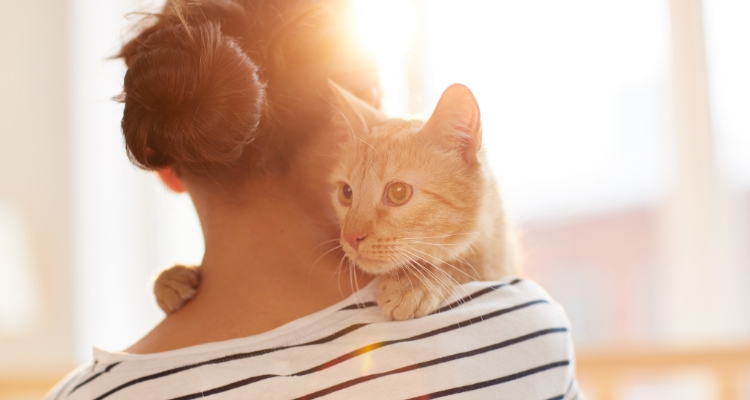 A light-skinned adult viewed from behind, wearing a striped shirt and holding an orange cat on their shoulder.
