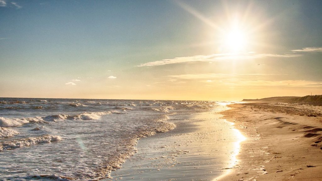 A beach and ocean cast in the golden light of the sun.