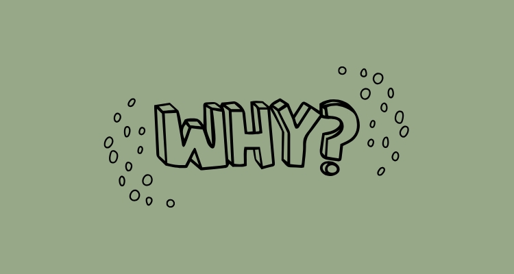 The word "why" sits in the middle of a green background with circles around it.