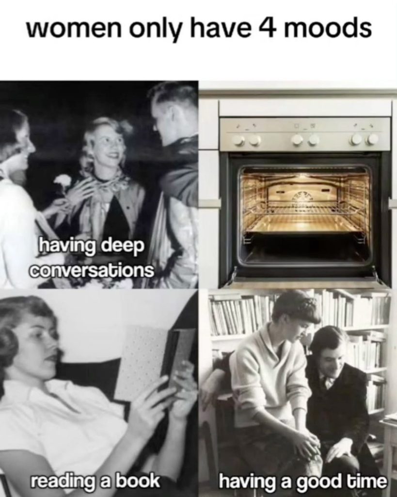 Meme titled "women only have 4 moods" with four images: Sylvia Plath smiling at a party ("having deep conversations"), an empty oven, Sylvia Plath reading a book ("reading a book"), and Sylvia Plath sitting closely with her husband, Ted Hughes ("having a good time").