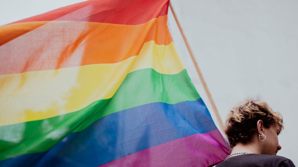 A light-skinned person with short, light brown hair, a dark shirt, and earrings is shown from behind holding a large rainbow pride flag; the sky overhead is gray.