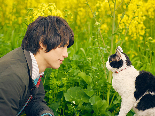 Movie still from 'The Travelling Cat Chronicles' adapted by Shochiku. Image depicting a white and black cat with green eyes and a red collar laying in a lush grassy filled beside a young man. The man has dark hair, is wearing a greige jacket, pinstriped collared shirt, and a red tie. He and the cat stare at one another with a loving expression.