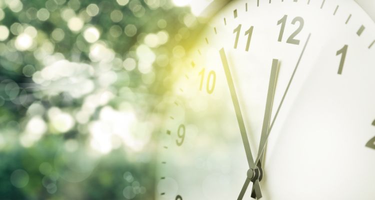 Image depicts a clock fading into blurred greenery.