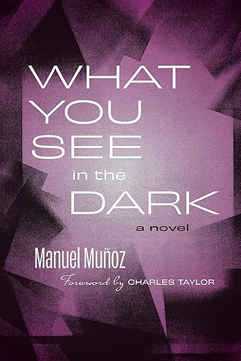 What You See in the Dark by Manuel Muñoz book cover. This features a dark purple geometric background.