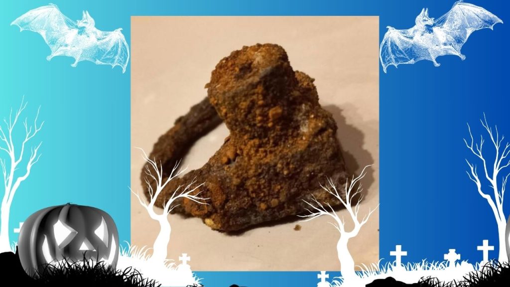 A light blue and dark blue background with white silhouettes of bats and leafless trees in a grassy graveyard. There is a photo of a tiny, rusted, ancient iron shackle.