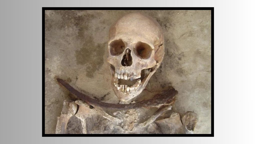 A silver and white hued background and a close-up photo of the partially exhumed skeletal remains of a young female. There is a sickle over her throat area.