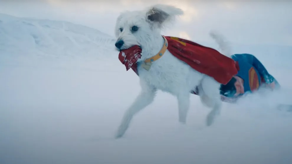 Still from Superman (2025), depicting Krypto, a white dog, running and dragging Superman by his cape. The landscape behind him is made up of snow-covered hills and a white sky.