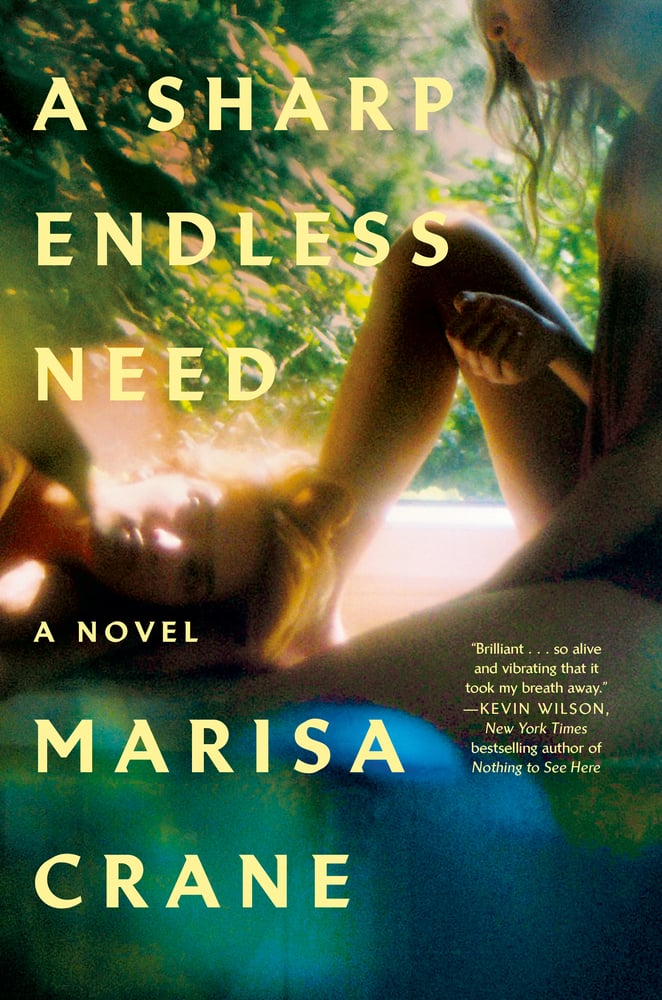 A Sharp Endless Need by Marisa Crane book cover of a blurry image of girl sitting outside with her knee up while another girl lays her head against it.