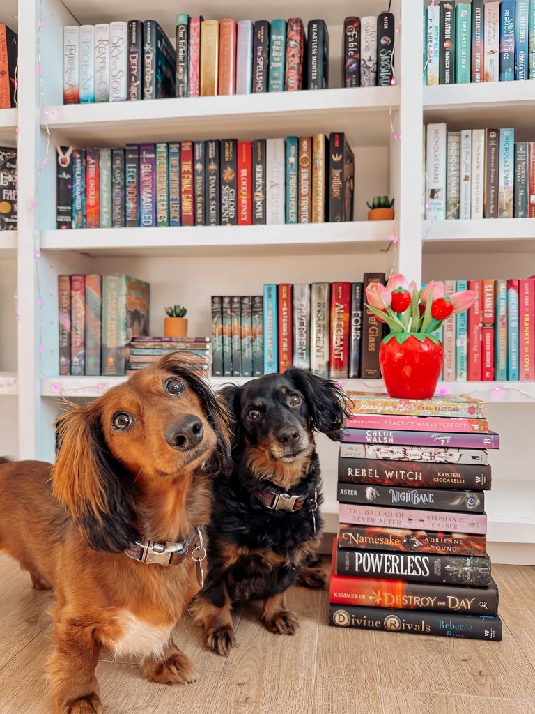 In front of the lower levels of Kailey's bookcase and beside a stack of books with a strawberry vase filled with pink and red tulips, sits Kailey's two dachshunds tilting their heads at the camera. On the left is a red haired dachshund with shaggy ears and beside him is an older black and brown dachshund.