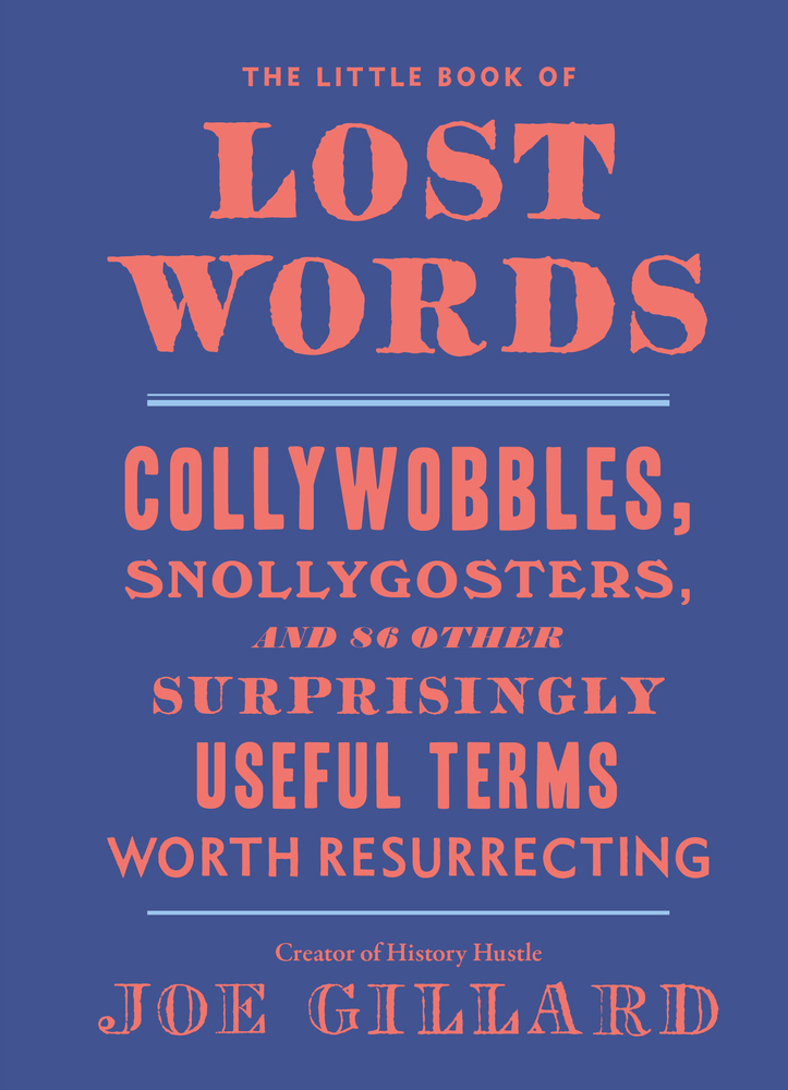The Little Book of Lost Words by Joe Gillard, a book cover depicting a dark blue background with the title and author name in large orange font.