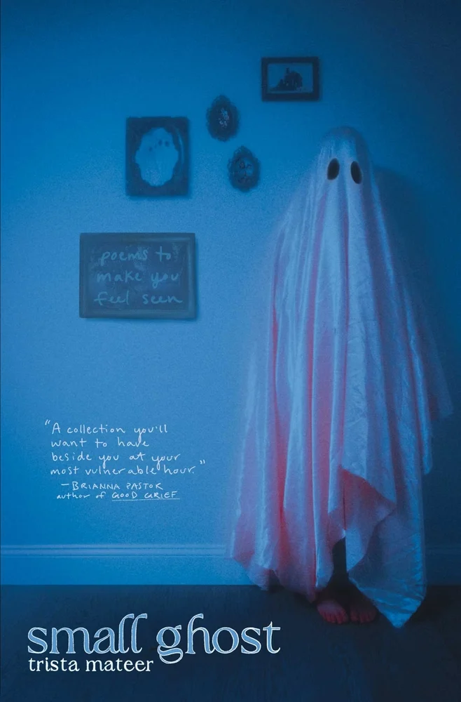 Small Ghost by Trista Mateer book cover. Depicts a blue image of a ghost standing by a wall filled with picture frames.