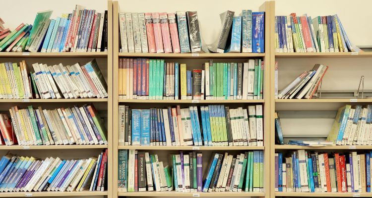 Depicts a library shelf filled with colorful books.