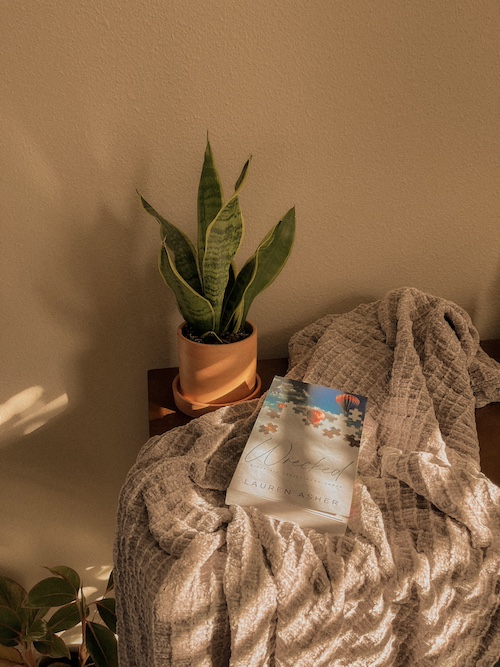 Wrecked by Lauren Asher, a romance novel, laying atop a grey blanket. A potted plant is to the left of the book and the blanket.