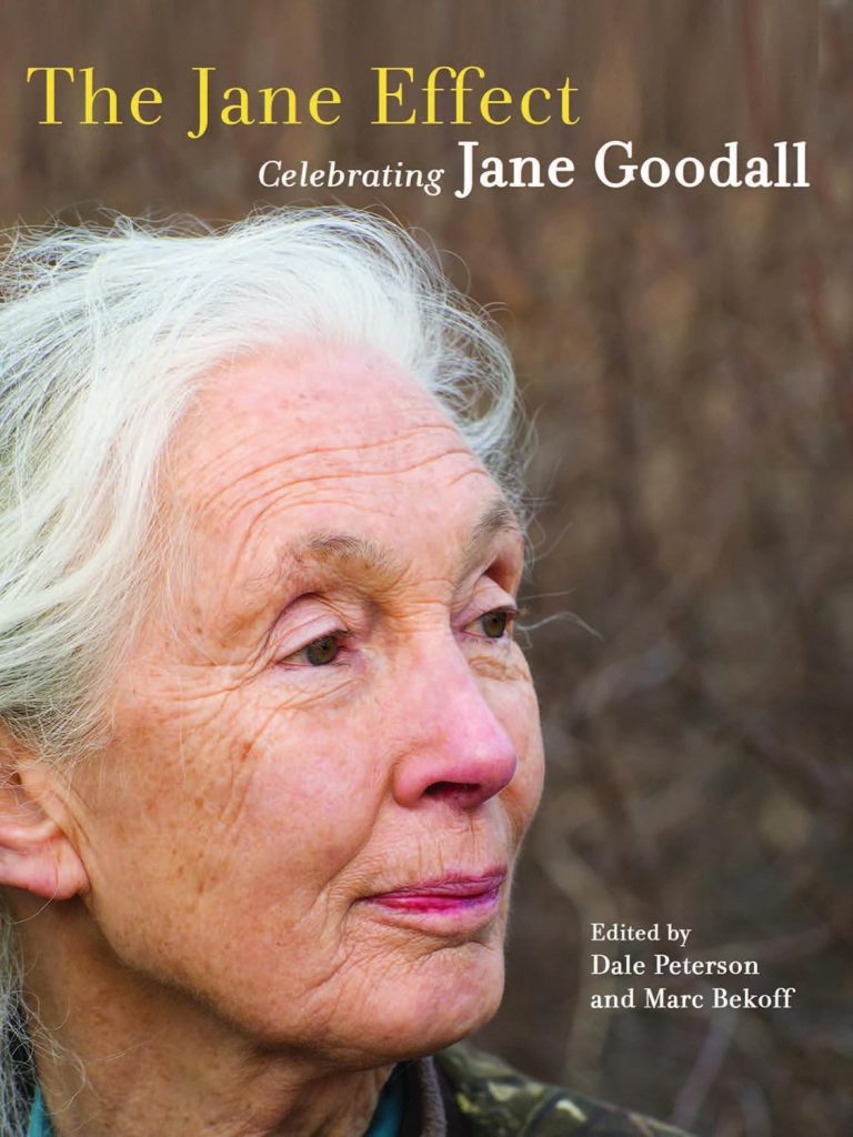 The Jane Effect, biography by Dale Peterson book cover depicts environmentalist Jane Goodall looking off to the side.
